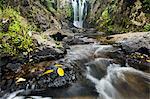 Piroa Falls, Waipu, Northland, North Island, New Zealand, Pacific