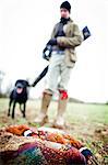 Pheasant and gun and gun dog, Oxfordshire, England, United Kingdom, Europe