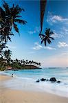 Tourist at Mirissa Beach, Matara District, Southern Province, Sri Lanka, Asia