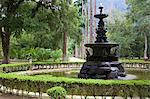 The Botanical Gardens, Rio de Janeiro, Brazil, South America