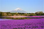 Yamanashi Prefecture, Japan