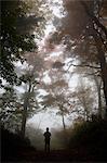 Ehime Prefecture, Japan