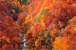 Aomori Prefecture, Japan