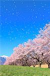 Yamanashi Prefecture, Japan