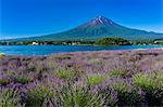 Yamanashi Prefecture, Japan