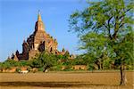 Landscape view of Sulamani temple with field and farmer, Bagan, Myanmar