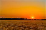 Sunrise over a countryside field in the summertime