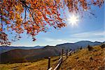 Autumn Landscape - yellow  leaves over mountains valley, blue sky and real sun - beautiful fall season day