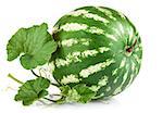 Fresh ripe watermelon with green leaves. Isolated on white background