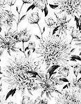 Seamless Monochrome Vintage Watercolor Floral Background  with Chrysanthemums. Watercolor Illustration