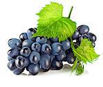 Cluster blue grapes with green leaf. Isolated on white background