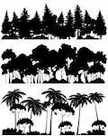 Vector illustration of a three forests silhouettes