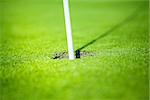 sport golf hole on green