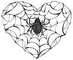 Spider wove web of heart shape. Heart symbol of love. Gothic love heart. Isolated on white vector illustration