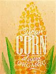 Poster watercolor corn lettering sugar corn always organic drawing on kraft paper