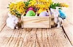 Easter eggs branch mimosa and white rabbit on wooden board copyspace