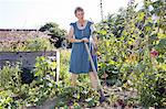 Mature woman gardening, digging with spade, holding vegetable in hand