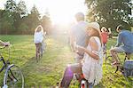 Rear view of party going adults in park on bicycles at sunset