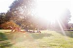 Adults friends sitting under a tree at sunset party in park