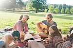 Group of friends relaxing on rug at sunset park party