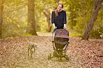 Mid adult mother pushing baby carriage and walking dog in autumn park