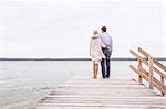 Mature couple standing on pier, looking at view, rear view