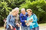 Group of friends, hiking, looking at map