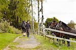 Woman walking with horse