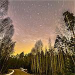 Forest road under starry sky