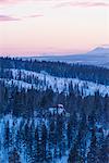 Winter landscape at sunset