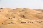 Camel caravan on desert