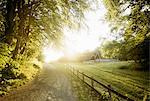 Dirt road at summer