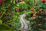 Pathway through gardens in Petulu, near Ubud, Bali, Indonesia