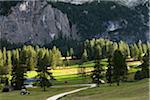 Typical landscape of the Dolomites with bright green meadows at the foot of wild big rocky walls, Val Gardena, Trentino Alto Adige, Italy