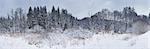 Snow covered landscape of trees on a meadow in a valley in winter, Upper Palatinate, Bavaria, Germany