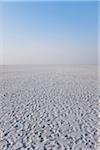 White Salt Desert, Dhordo, Kutch, Gujarat, India