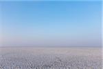 White Salt Desert, Dhordo, Kutch, Gujarat, India