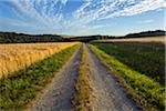 Countryside with Path through Field in Summer, Reichartshausen, Miltenberg District, Bavaria, Germany