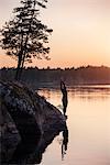 Swimmer at water, sunset