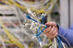 Technician holding bunch of cables