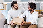 Happy gay couple holding box