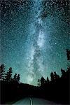 Forest road and milky way at night, Penticton, British Columbia, Canada