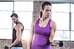 Fit couple doing dumbbell exercises