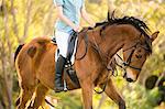 Young woman riding her horse