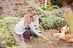 Young woman feeding chicken