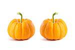 Two small decorative orange pumpkins, isolated on white background