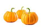 Small decorative pumpkins, isolated on white background