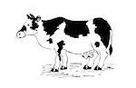 cow drawing  on white background cartoon style vector