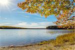 Kejimkujik lake in fall from Jeremy Bay Campground (Kejimkujik National Park, Nova Scotia, Canada)