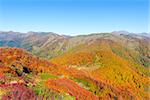 Autumn view of the forests on the cliffs.